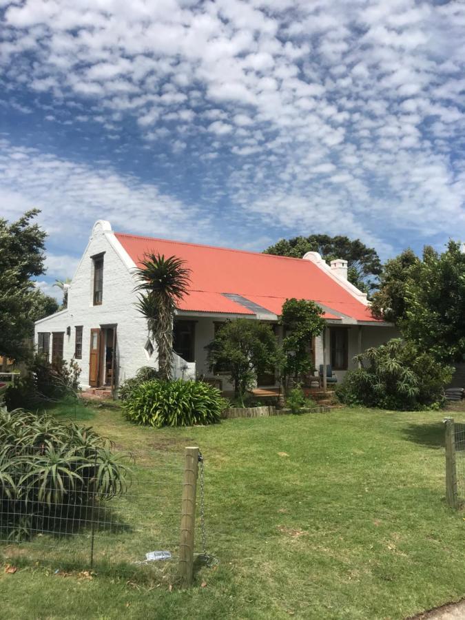 Hermanus Whale Cottage Exteriör bild